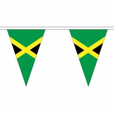 Jamaicaanse vlaggenlijn van stof 5 m