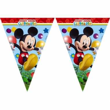 Mickey mouse vlaggetjeslijn 2 3 meter