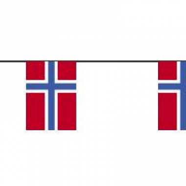 Papieren vlaggenlijn Noorwegen