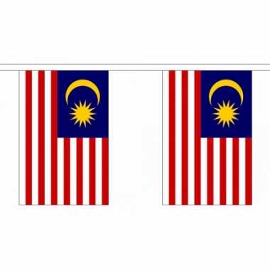 Polyester maleisie vlaggenlijn