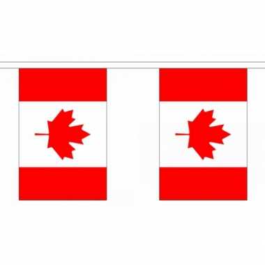 Polyester vlaggenlijn canada