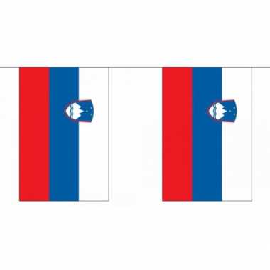 Polyester vlaggenlijn slovenie