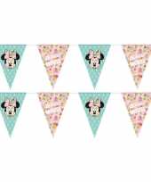 2x disney minnie mouse tropical vlaggenlijnen kinderverjaardag