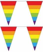 2x regenboog slingers met puntvlaggetjes 40 meter
