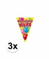 3x kinderfeestje verjaardag slingers 6 meter p stuk