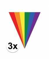 3x stuks regenboog thema vlaggenlijnen 5 meter
