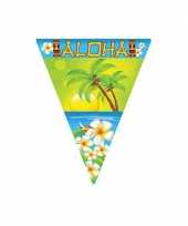 Aloha vlaggenlijn 5 meter