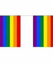 Gay pride regenboog vlaggenlijn 18 m