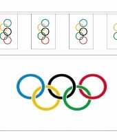Olympische spelen versiering vlaggetjes pakket 10281511