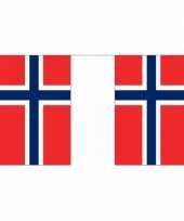 Polyester noorwegen vlaggenlijn