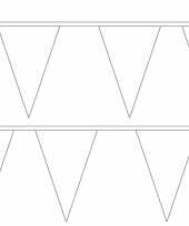 Set van 2x stuks witte slinger met puntvlaggetjes van 5 meter
