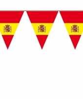 Spaanse vlaggenlijnen 10026801