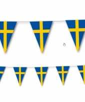 Zweedse vlaggenlijn 3 5 meter