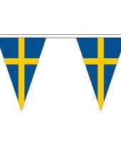 Zweedse vlaggenlijn van stof 20 m